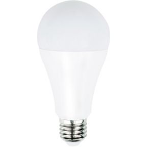 Image of HQ LED-lamp A67 E27 12W 1055lm 2700 K