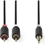 Nedis-Stereo-audiokabel-3-5-mm-male-2x-RCA-male-2-0-m-Antraciet-CABW22200AT20-