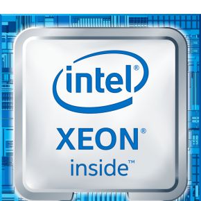 Intel Xeon E-2224 3,4 GHz 8 MB processor