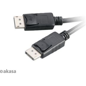 Image of Akasa AK-CBDP01-20BK kabeladapter/verloopstukje