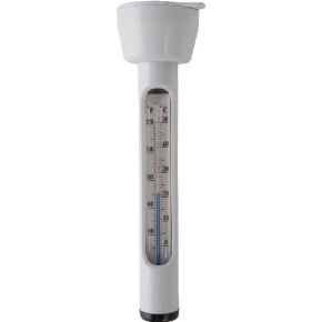 Image of Intex Thermometer