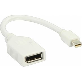 Image of Mini DisplayPort - naar DisplayPort adapter