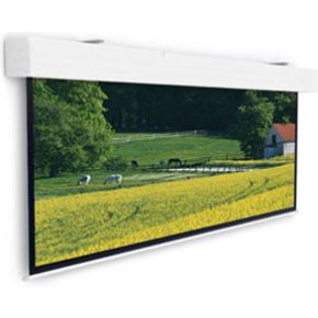 Image of Projecta Elpro large Electrol 176"" 16:9