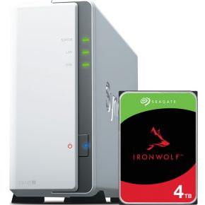 NAS Starterkit Synology DS120j + 1x 4TB Seagate Ironwolf