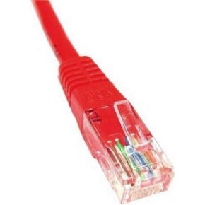 Image of Haiqoe UTP CAT6 Patch cable Rood 2M Qimz