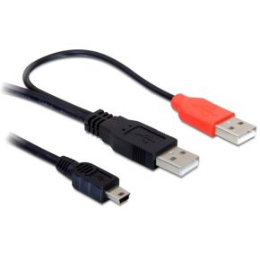 Image of DeLOCK 2x USB2.0-A male / USB mini 5-pin