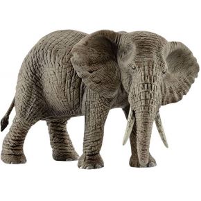 Image of Afrikanisch.Elefantenkuh