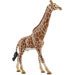 Image of Schleich - giraf, mannetje