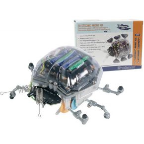 Image of Ladybug Robot Kit