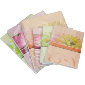 Image of Henzo Blossoms color sort. 10x15 Fotoetui for 80 Photos 98.2