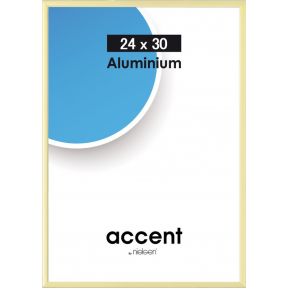 Image of Nielsen Accent 24x30 aluminium goud 52221