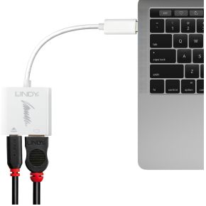 Image of Lindy 43196 USB Type C HDMI Wit kabeladapter/verloopstukje