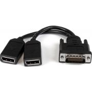StarTech.com 20 cm LFH 59 male naar dubbele female DisplayPort DMS 59 kabel
