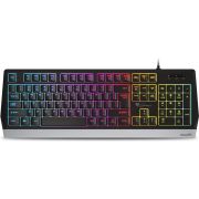 GENESIS NKG-1528 Rhod 300 RGB Zwart Toetsenbord