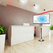 Voorbeeld afbeelding 6