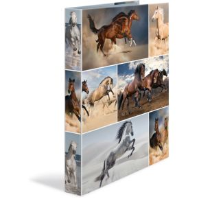 Herma 19429 Karton Multi Kleuren Map herma kopen in de aanbieding