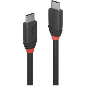 Lindy 36906 1m USB C USB C Mannelijk Mannelijk Zwart USB-kabel