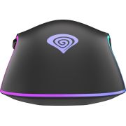 Voorbeeld afbeelding 7