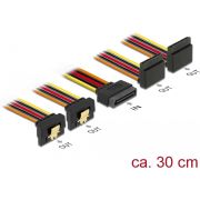 DeLOCK 60154 interne stroomkabel 0,3 m