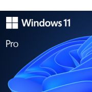 Microsoft Windows 11 Pro 1 licentie(s)
