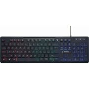 Gembird KB-UML-02 Rainbow Toetsenbord