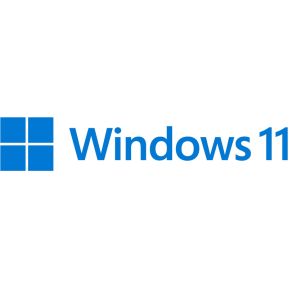 Microsoft Windows 11 Pro for Workstations 1 licentie(s)