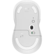 Voorbeeld afbeelding 4