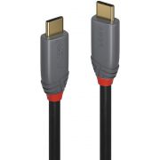 Lindy-36900-USB-kabel-0-5-m-USB-C-Mannelijk-Zwart-Grijs