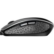 Voorbeeld afbeelding 1