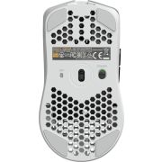 Voorbeeld afbeelding 5