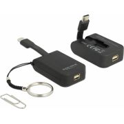 DeLOCK-63939-video-kabel-adapter-0-03-m-USB-Type-C-mini-DisplayPort-Zwart