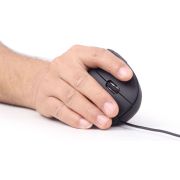 Voorbeeld afbeelding 1