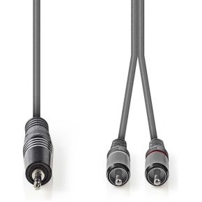 Nedis Stereo Audiokabel 35 Mm Male 2X Rca 30 M Grijs nedis kopen in de aanbieding