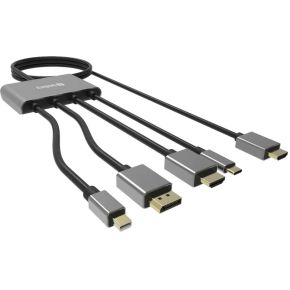 Sandberg 509-21 video kabel adapter 2 m HDMI Type A (Standaard) DisplayPort + Mini DisplayPort + HDM