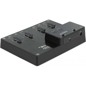 DeLOCK 64124 basisstation voor opslagstations USB 3.2 Gen 2 (3.1 Gen 2) Type-C Zwart