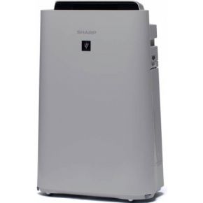 505Gamers Past Cure Xbox One 505gamers kopen in de aanbieding