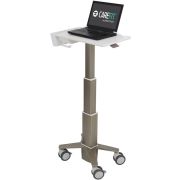 Ergotron C50-1100-0 notebookstandaard Grijs 39,6 cm (15.6")