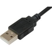 Voorbeeld afbeelding 3