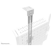 Voorbeeld afbeelding 4