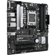 Voorbeeld afbeelding 1