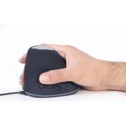 Voorbeeld afbeelding 4