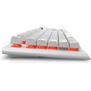 Voorbeeld afbeelding 5