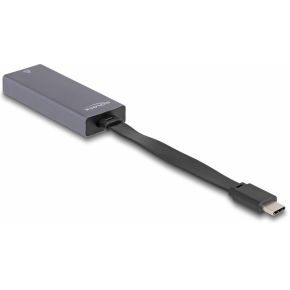 Delock 66248 USB Type-C-adapter naar 2,5 Gigabit LAN, slank