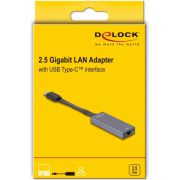Delock-66248-USB-Type-C-adapter-naar-2-5-Gigabit-LAN-slank