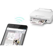 Voorbeeld afbeelding 7