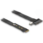 Delock 64216 M.2 Key M naar U.2 SFF-8639 NVMe-adapter met 20cm kabel