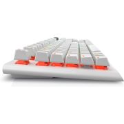 Voorbeeld afbeelding 5