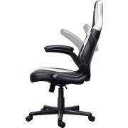 Voorbeeld afbeelding 3