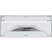 Voorbeeld afbeelding 2