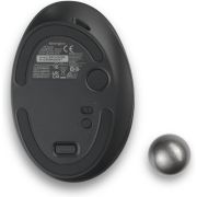 Voorbeeld afbeelding 5